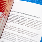 RUFCA | Fanzine "Manifiesto Minion"