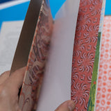 L. FRANK BAUM | El maravilloso Mago de Oz