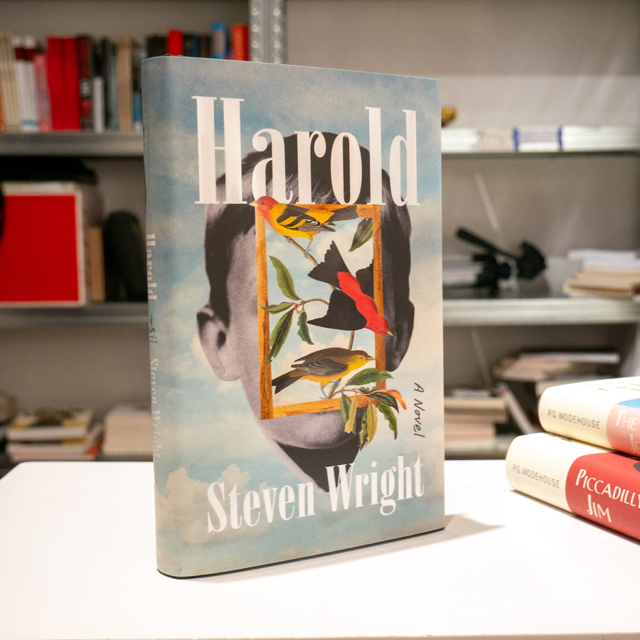 STEVEN WRIGHT | Harold