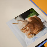 ROJIMAN & UTAMAN | Cat-hair hats for cats