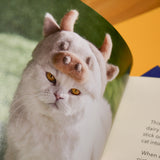 ROJIMAN & UTAMAN | Cat-hair hats for cats