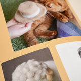 ROJIMAN & UTAMAN | Cat-hair hats for cats
