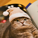 ROJIMAN & UTAMAN | Cat-hair hats for cats