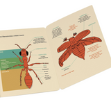 Bloc de notas de Entomología