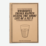 AGUAS INTERNACIONALES | Wonderful Things Happen During The Short Life of a Fly 2