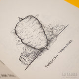 AGUAS INTERNACIONALES | Wonderful Things Happen During The Short Life of a Fly 2