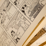 PACHICLÓN | Cebolla