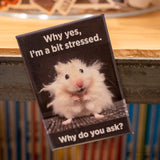 Imán "Why yes, I'm a bit stressed" X EPHEMERA