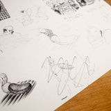 MIGUEL NOGUERA | Folio 13