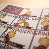 BILL WATERSON | Calvin y Hobbes Vol.2: Cada cosa a su tiempo