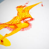 MIGUEL IVORRA | Nazarenos 8