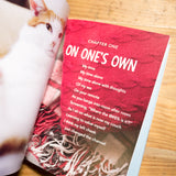 FRANCESCO MARCIULIANO | All cats are introverts