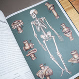 JENNIFER Z. PAXTON & KATY WIEDEMANN | Anatomicum