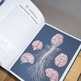 JENNIFER Z. PAXTON & KATY WIEDEMANN | Anatomicum