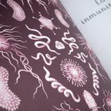 JENNIFER Z. PAXTON & KATY WIEDEMANN | Anatomicum