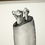 PAOLA VILLANUEVA | Dënver