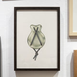 PAOLA VILLANUEVA | Arsa