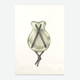 PAOLA VILLANUEVA | Arsa