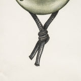 PAOLA VILLANUEVA | Arsa