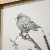 PAOLA VILLANUEVA | Dress to impress