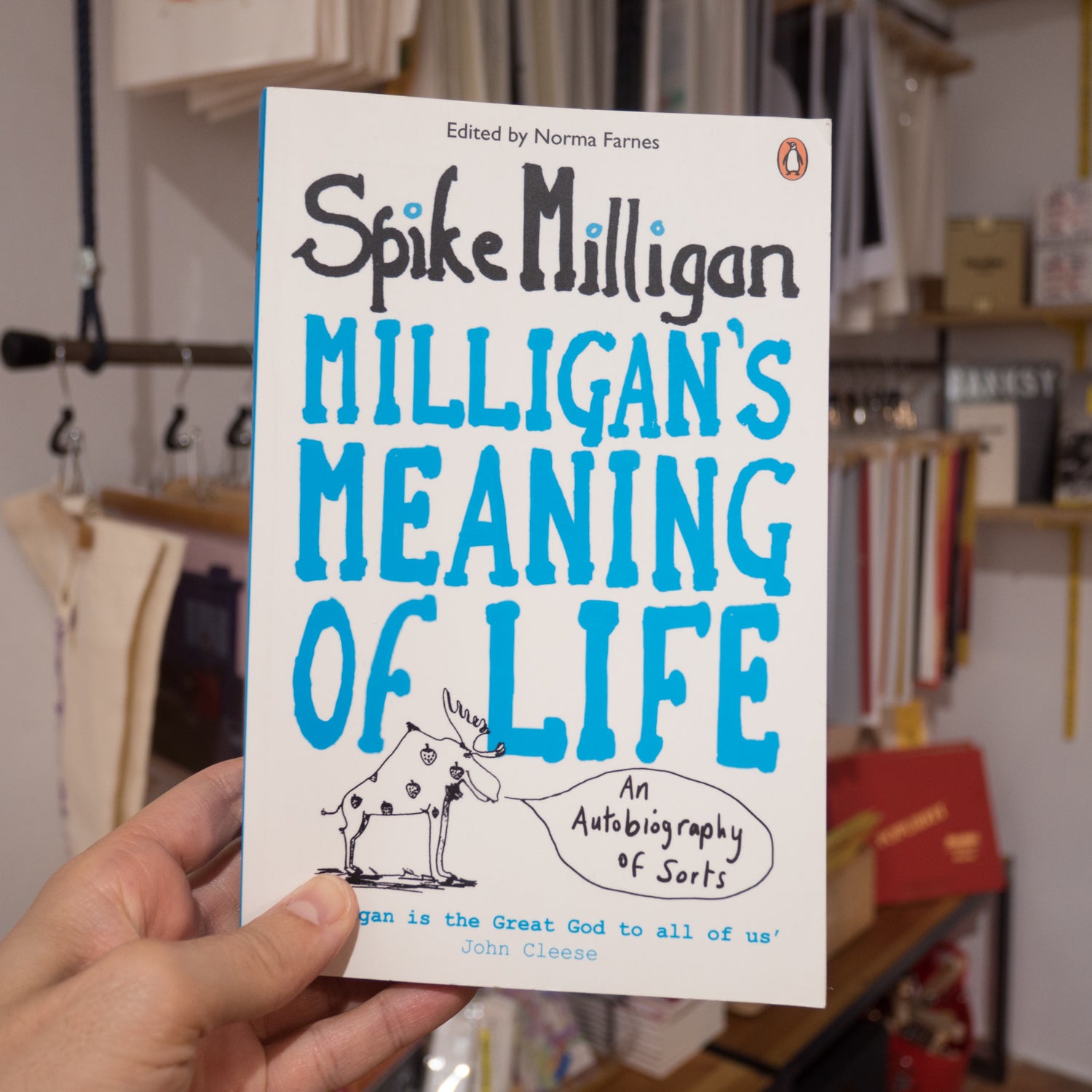 Milligan's Meaning of Life: An Autobiography of Sorts: .co