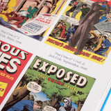 Los cómics de la plaga. Cuando los tebeos eran peligrosos, VOL. 2.