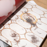 Images you should not masturbate to