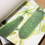 Images you should not masturbate to