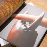 Images you should not masturbate to