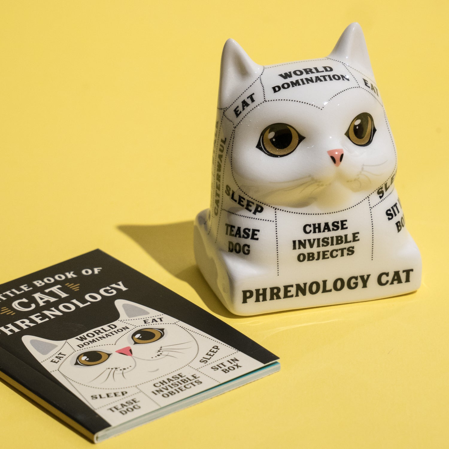 Phrenology Cat. Read your cat's mind! La Llama Store