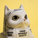 Phrenology Cat. Read your cat's mind!