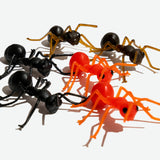 HORMIGAS! / ANTS!