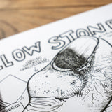 LAMASQWERTY | Fanzine "Cries in Spanish"