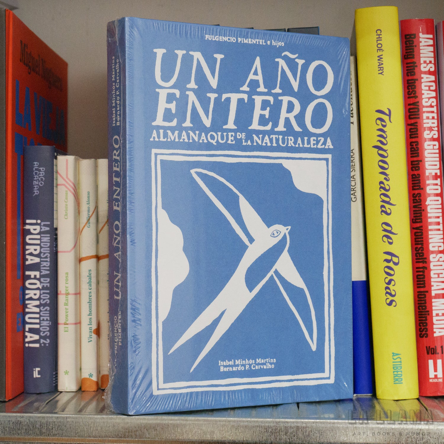 Un año entero Almanaque de la naturaleza · Minhós, Isabel