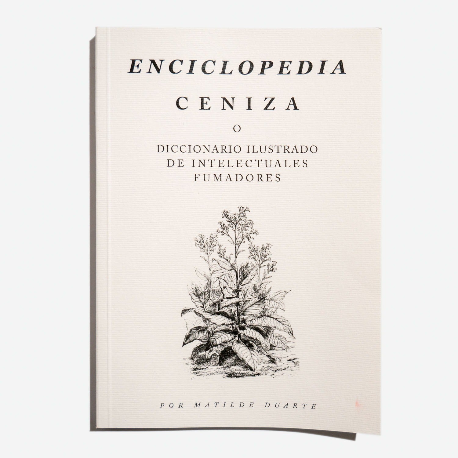 Ceniza - Wikipedia, la enciclopedia libre