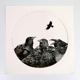 DANI BUCH | A murder of crows