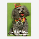 LA LLAMA | Postal "You are a fucking moron"