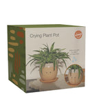 Maceta llorona "Crying Plant Pot"