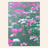Postal "flores fucsia" (risografía)