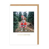 Postal Navidad Perro "Season's Greetings"