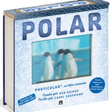 DAN KAINEN | Polar