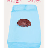 Postal "She sleeps on the bed, we sleep on the floor" X DAVID SHRIGLEY