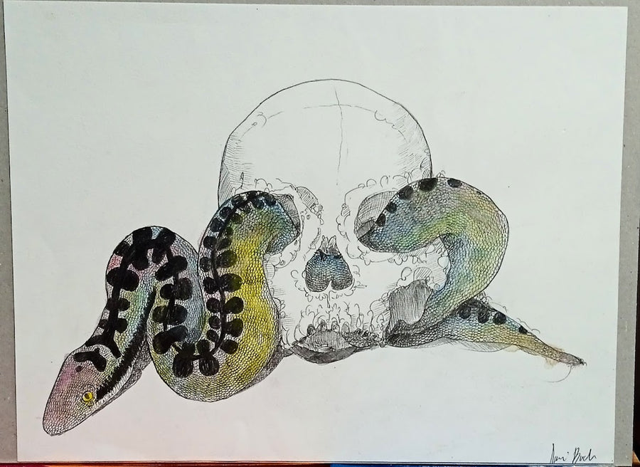 DANI BUCH | Cráneo serpiente (original)