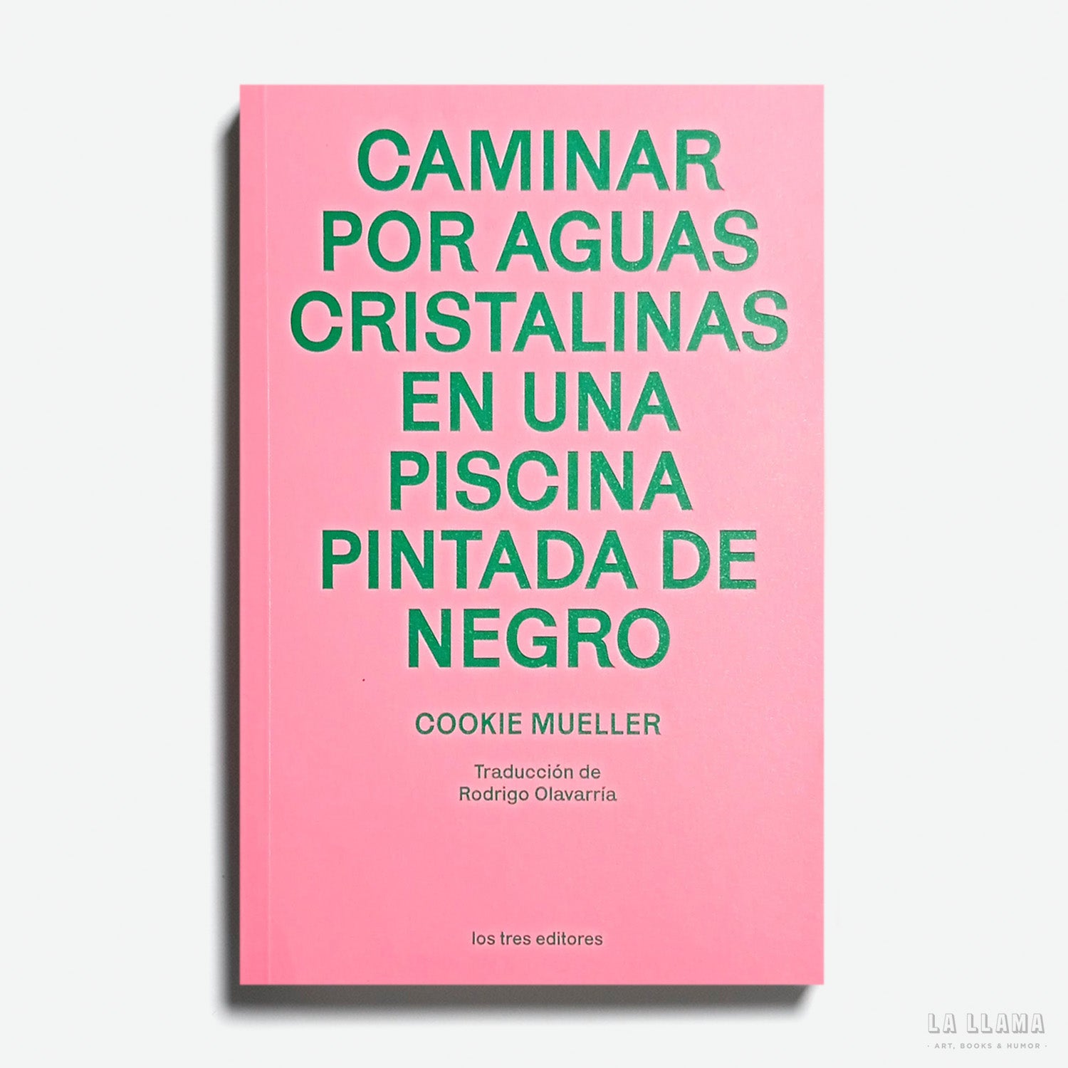 Imagen de diapositiva