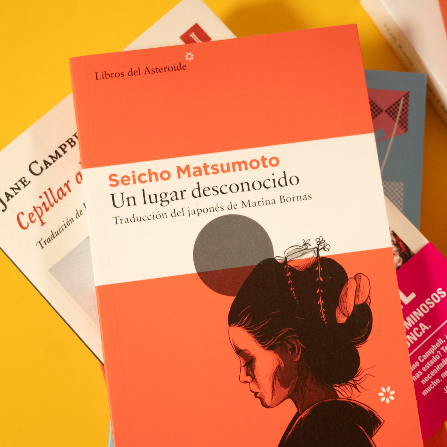 SEICHO MATSUMOTO | Un lugar desconocido
