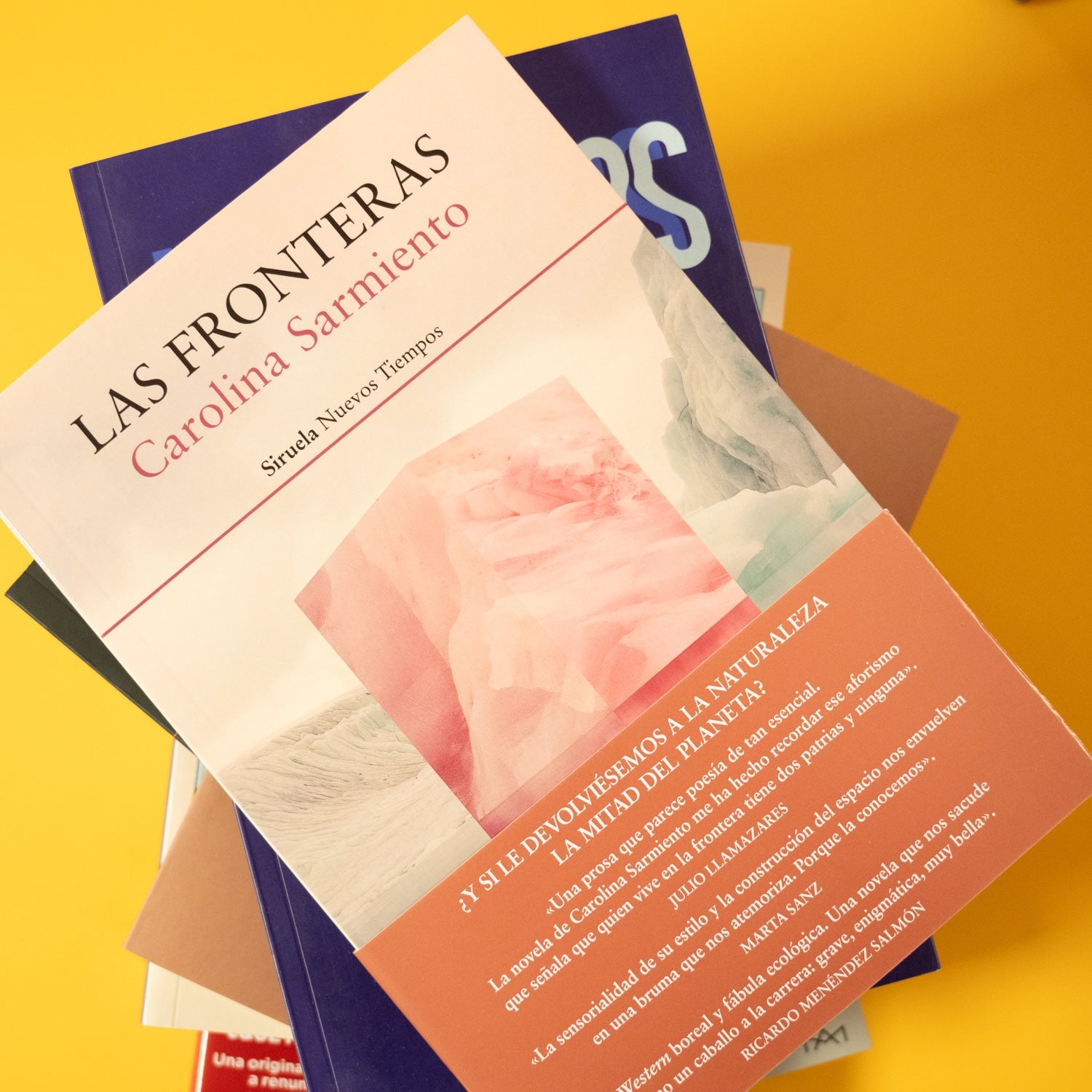 CAROLINA SARMIENTO | Las fronteras
