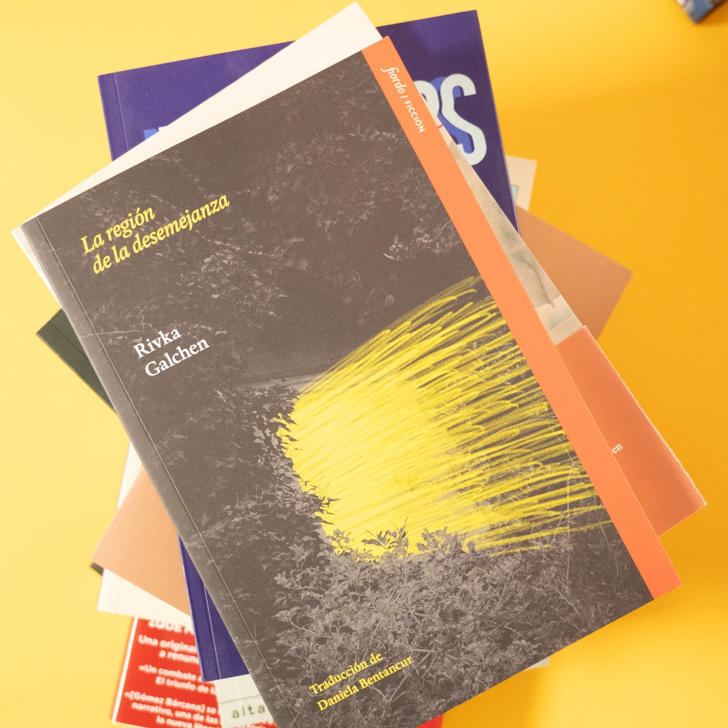 RIVKA GALCHEN | La región de la desemejanza