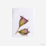 Flor prensada