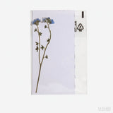 Flor prensada