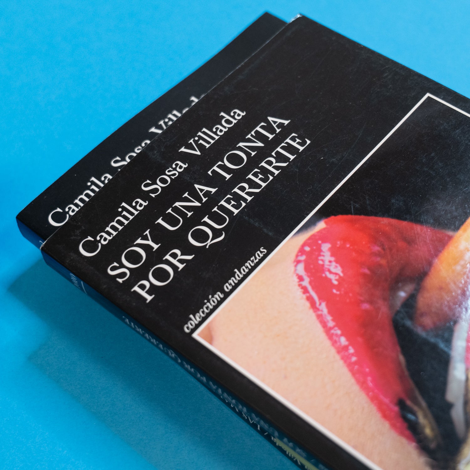 CAMILA SOSA VILLADA | Soy una tonta por quererte